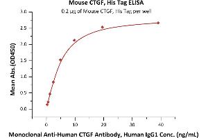 ELISA image for Connective Tissue Growth Factor (CTGF) (AA 26-348) protein (His tag) (ABIN6388278)