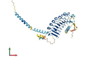 Protein Structure (PS) image for Leucine Rich Repeat Containing 2 (LRRC2) (AA 1-371) protein (His tag) (ABIN7559854)