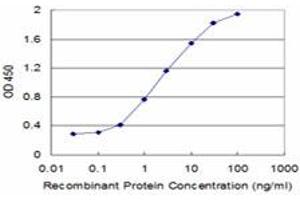 Detection limit for recombinant GST tagged ITGB6 is approximately 0. (ITGB6 抗体  (AA 604-707))