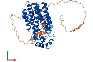 Protein Structure (PS) image for Prenyl (Decaprenyl) Diphosphate Synthase, Subunit 1 (PDSS1) (AA 1-415) protein (His tag) (ABIN7547128)
