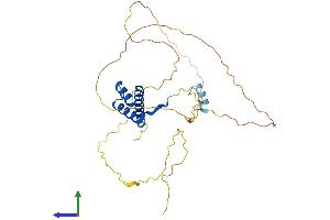AlphaFold protein structure predicition of Human Recombinant HOXA11 Protein, UniprotID P31270