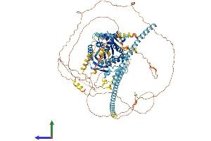 Protein Structure (PS) image for Kinesin Family Member 17 (KIF17) (AA 1-1038) protein (His tag) (ABIN7564933)