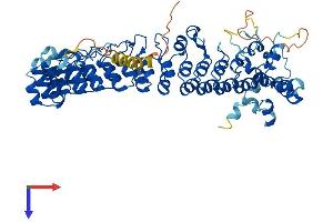 ASB15 Protein (AA 1-588) (His tag)