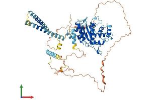 AlphaFold protein structure predicition of Mouse Recombinant Tmem209 Protein, UniprotID Q8BRG8 (TMEM209 Protein (AA 1-561) (His tag))