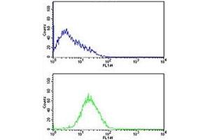 Caspase-2 antibody flow cytometric analysis of HL-60 cells (bottom histogram) compared to a negative control cell (top histogram). (Caspase 2 抗体  (AA 198-226))