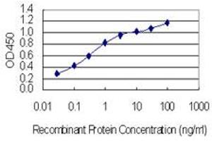 ELISA image for anti-Microtubule Associated Monoxygenase, Calponin and LIM Domain Containing 1 (MICAL1) (AA 971-1067) antibody (ABIN1327184)