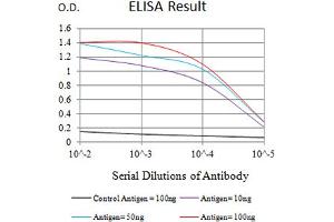 Black line: Control Antigen (100 ng),Purple line: Antigen (10 ng), Blue line: Antigen (50 ng), Red line:Antigen (100 ng) (P2RY2 抗体)