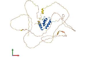 Protein Structure (PS) image for SRY (Sex Determining Region Y)-Box 4 (SOX4) (AA 1-440) protein (His tag) (ABIN7556907)