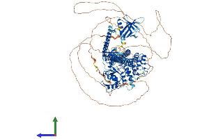 Protein Structure (PS) image for ArfGAP with SH3 Domain, Ankyrin Repeat and PH Domain 1 (ASAP1) (AA 1-1129) protein (His tag) (ABIN7552470)