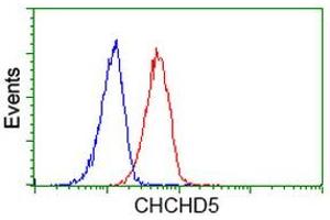 Image no. 3 for anti-Coiled-Coil-Helix-Coiled-Coil-Helix Domain Containing 5 (CHCHD5) antibody (ABIN1497488) (CHCHD5 抗体)