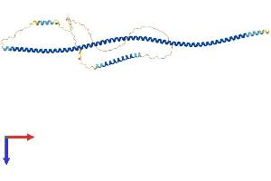 AlphaFold protein structure predicition of Human Recombinant TEX9 Protein, UniprotID Q8N6V9