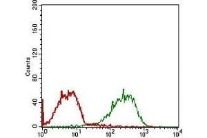 Flow cytometric analysis of MCF-7 cells using RELB mouse mAb (green) and negative control (red). (RELB 抗体  (AA 273-443))