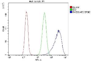 Flow Cytometry analysis of CACO-2 cells using anti-RAB3GAP2 antibody (ABIN6719633). (RAB3GAP2 抗体  (AA 1-115))