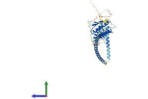 Protein Structure (PS) image for Beclin 1, Autophagy Related (BECN1) (AA 1-448) protein (His tag) (ABIN7562637)