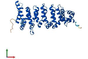 Protein Structure (PS) image for Calcium Binding Protein 39 (CAB39) (AA 1-341) protein (His tag) (ABIN7552827)