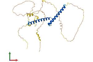 Protein Structure (PS) image for Oligodendrocyte Lineage Transcription Factor 2 (OLIG2) (AA 1-323) protein (His tag) (ABIN7550068)