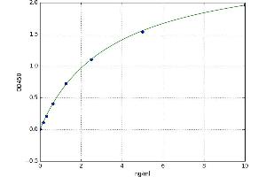 A typical standard curve (DPP3 ELISA 试剂盒)