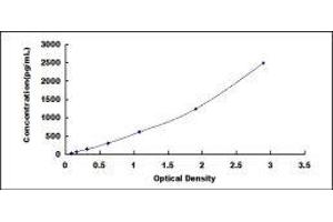 ELISA image for Pro-Atrial Natriuretic Peptide (PRO-ANP) ELISA Kit (ABIN417346)