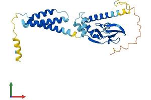 Protein Structure (PS) image for Popeye Domain Containing 3 (POPDC3) (AA 1-291) protein (His tag) (ABIN7550842)