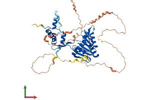AlphaFold protein structure predicition of Mouse Recombinant Fam83a Protein, UniprotID Q8K2P2 (FAM83A Protein (AA 1-436) (His tag))