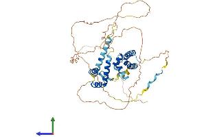 Protein Structure (PS) image for POU Class 3 Homeobox 2 (POU3F2) (AA 1-443) protein (His tag) (ABIN7550838)