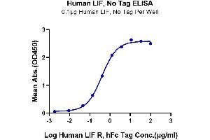 Immobilized Human LIF at 1 μg/mL (100 μL/Well) on the plate. (LIF Protein (AA 23-202))