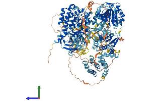 AlphaFold protein structure predicition of Human Recombinant YTHDC2 Protein, UniprotID Q9H6S0 (YTHDC2 Protein (AA 1-1430) (His tag))