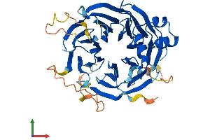 Protein Structure (PS) image for WD Repeat and SOCS Box Containing 2 (WSB2) (AA 1-404) protein (His tag) (ABIN7545154)