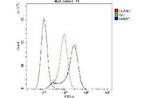 Flow Cytometry analysis of A549 cells using anti-RRBP1 antibody (ABIN6719628). (RRBP1 抗体)