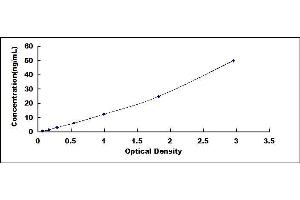 Typical standard curve (Laminin beta 3 ELISA 试剂盒)