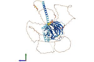 AlphaFold protein structure predicition of Human Recombinant TLE3 Protein, UniprotID Q04726 (TLE3 Protein (AA 1-772) (His tag))