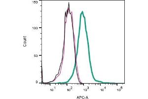 Cell surface detection of CaV1.