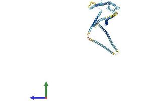 Protein Structure (PS) image for MAD1 Mitotic Arrest Deficient-Like 1 (MAD1L1) (AA 1-717) protein (His tag) (ABIN7565211)