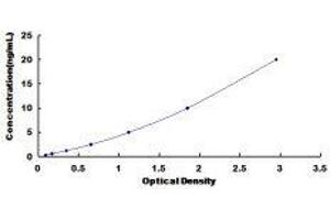 ELISA image for Protein tyrosine Phosphatase, Non-Receptor Type 11 (PTPN11) ELISA Kit (ABIN433795)