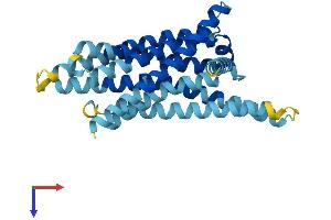 AlphaFold protein structure predicition of Human Recombinant TAS2R50 Protein, UniprotID P59544