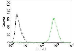 Flow Cytometry of human EGFR on A431 cells. (EGFR 抗体  (Extracellular Domain) (CF®488A))