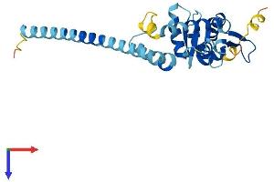 Protein Structure (PS) image for Vacuolar-sorting Protein SNF8 (SNF8) (AA 1-258) protein (His tag) (ABIN7555527)