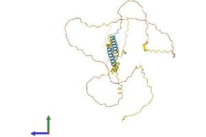 Protein Structure (PS) image for Bartter Syndrome, Infantile, with Sensorineural Deafness (Barttin) (BSND) (AA 1-320) protein (His tag) (ABIN7552685)