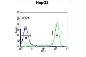 Flow cytometric analysis of HepG2 cells (right histogram) compared to a negative control cell (left histogram). (FAAH2 抗体  (C-Term))