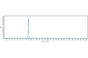 The purity of Anti-RTN4 / NOGO Reference Antibody (atinumab) is more than 95 % , determined by SEC-HPLC. (Recombinant RTN4 (Atinumab Biosimilar) 抗体)