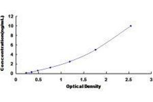 Kruppel-Like Factor 15 (KLF15) ELISA Kit
