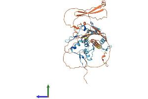 Protein Structure (PS) image for Zinc Finger Protein 410 (ZNF410) (AA 1-478) protein (His tag) (ABIN7545270)