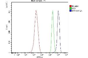 anti-Protein Phosphatase 1, Regulatory (Inhibitor) Subunit 15A (PPP1R15A) (AA 14-572) antibody