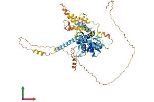 Protein Structure (PS) image for rho GTPase Activating Protein 36 (ARHGAP36) (AA 1-590) protein (His tag) (ABIN7562030)