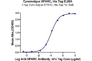 ELISA image for Secreted Protein, Acidic, Cysteine-Rich (Osteonectin) (SPARC) (AA 18-303) protein (His tag) (ABIN7275639)