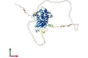 AlphaFold protein structure predicition of Mouse Recombinant Rps6kb1 Protein, UniprotID Q8BSK8
