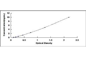 Typical standard curve (RARRES1 ELISA 试剂盒)