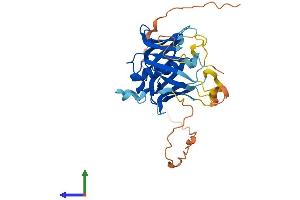 AlphaFold protein structure predicition of Human Recombinant PLSCR2 Protein, UniprotID Q9NRY7