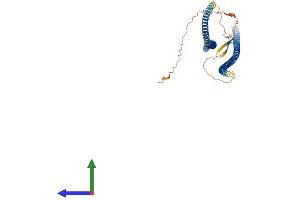 Protein Structure (PS) image for Desmin (DES) (AA 1-470) protein (His tag) (ABIN7547021)