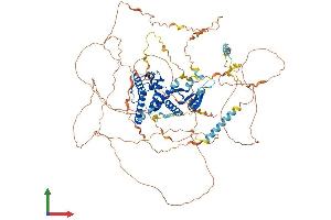 Protein Structure (PS) image for Growth Arrest-Specific 2 Like 2 (GAS2L2) (AA 1-880) protein (His tag) (ABIN7547770)